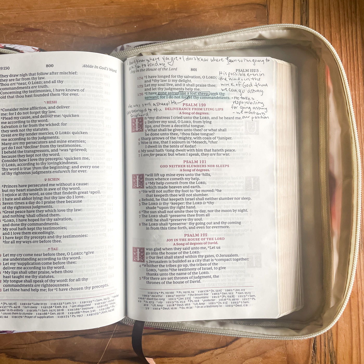 TJM Bible Carrying Case