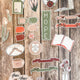 Grace Upon Grace Ephemera Set